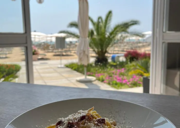 席尔瓦弗朗特梅尔酒店 酒店 利多迪迪耶索洛