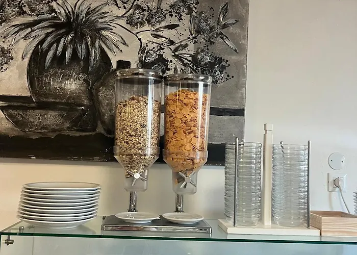 席尔瓦弗朗特梅尔酒店 酒店